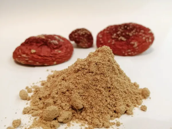 Fly agaric powder